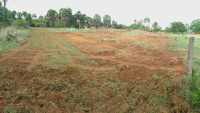  Residential Plot for Sale in Pulipakkam, Chengalpattu