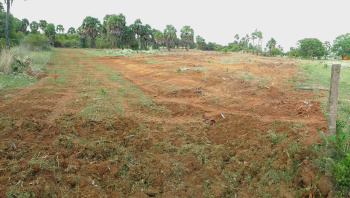  Residential Plot for Sale in Cheyyur, Chengalpattu