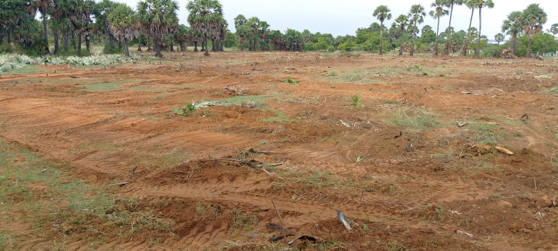  209 Cent Residential Plot for Sale in Cheyyur, Chengalpattu