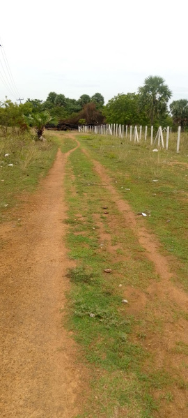  209 Cent Residential Plot for Sale in Cheyyur, Chengalpattu