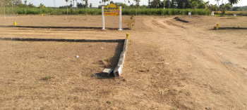  Residential Plot for Sale in Uthiramerur, Kanchipuram
