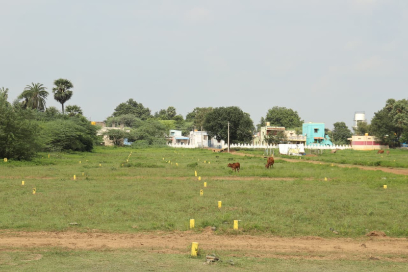  1000 Sq.ft. Residential Plot for Sale in Uthukkottai, Thiruvallur