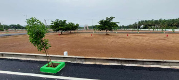  Residential Plot for Sale in Arcot, Vellore