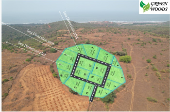  Agricultural Land for Sale in Dapoli, Ratnagiri