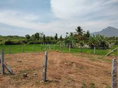  Residential Plot for Sale in Bhatewar, Udaipur
