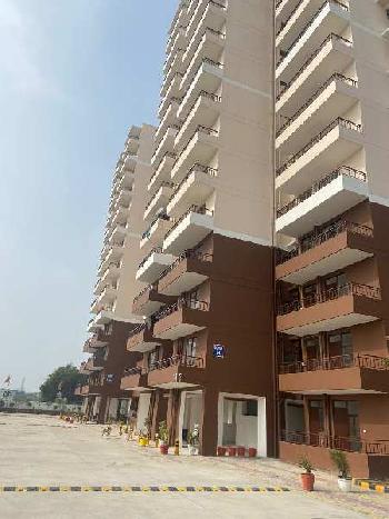 2 BHK Flats for Rent in Sector 33, Sonipat
