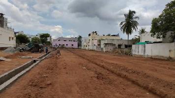  Residential Plot for Sale in R.M. Colony, Dindigul
