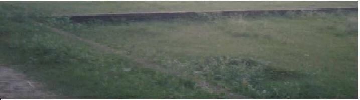  Agricultural Land for Sale in Rajgarh, Jhansi