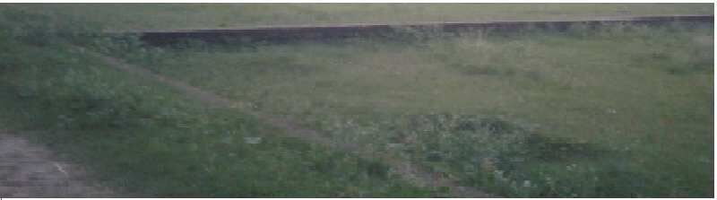  Agricultural Land 1250 Sq.ft. for Sale in Rajgarh, Jhansi