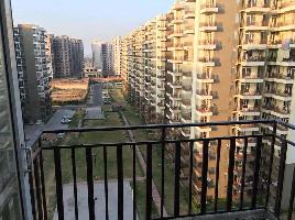 2 BHK Flat for Sale in Sector 24 Dharuhera