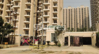 2 BHK Flat for Sale in Greater Noida West