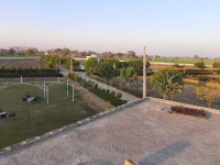 Residential Plot for Sale in Yamuna Expressway, Greater Noida