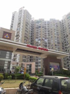 2.5 BHK Apartment 1165 Sq.ft. for Rent in Sector 77 Noida