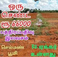  Agricultural Land for Sale in Dindigul Road, Tiruchirappalli