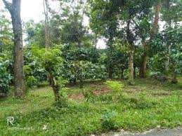  Residential Plot for Sale in Sulthan Bathery, Wayanad
