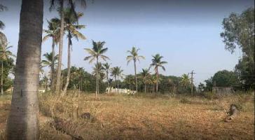  Agricultural Land for Rent in Srinivaspur, Kolar