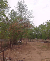  Residential Plot for Sale in Lapkaman, Ahmedabad