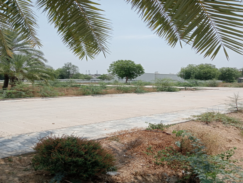 Industrial Land 1600 Sq. Yards for Sale in Khatraj, Ahmedabad (REI1148646)