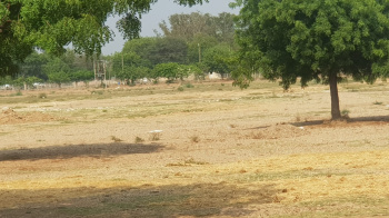  Agricultural Land for Sale in Adalaj, Gandhinagar