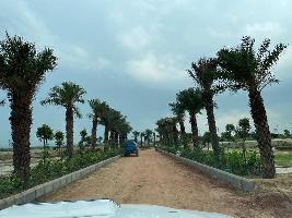  Agricultural Land for Sale in Sector 27 Greater Noida West