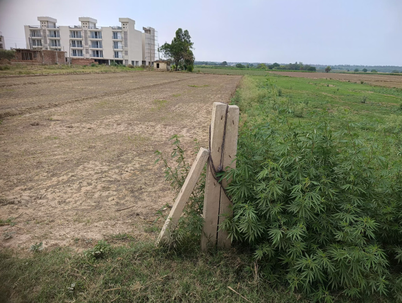  Residential Plot 4 Acre for Sale in Kharar, Mohali