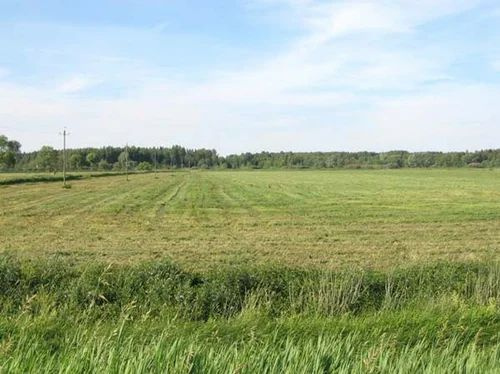  Residential Plot 7300 Sq.ft. for Sale in Gulabgarh, Dera Bassi