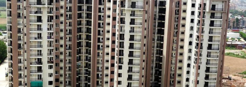 3 BHK 1250 Sq.ft. Apartment for Rent in Ambala Highway, Zirakpur