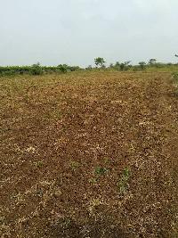  Agricultural Land for Sale in Pandharpur, Solapur