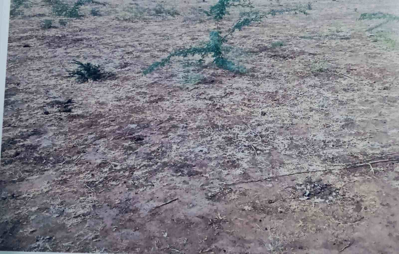  4800 Sq.ft. Commercial Land for Sale in Sumerpur Pali