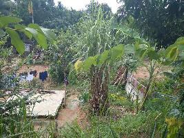  Residential Plot for Sale in Diphu, Karbi Anglong