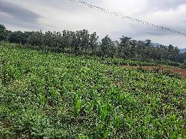  Agricultural Land for Sale in Kanakapura, Bangalore