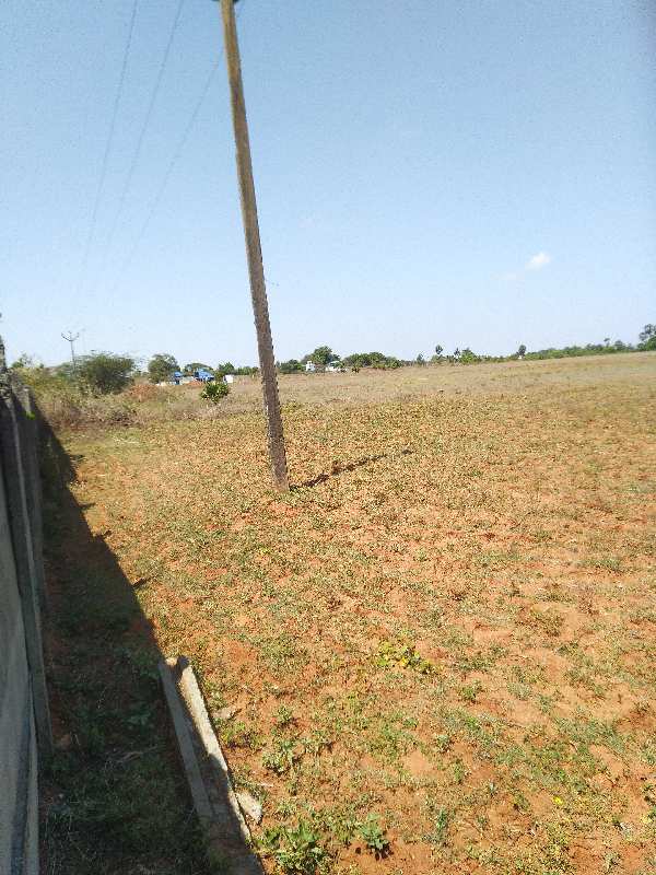 Industrial Land 54 Acre for Sale in