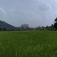  Agricultural Land for Sale in Salkanpur, Sehore