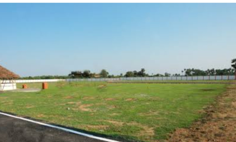  Residential Plot 800 Sq.ft. for Sale in Dholera, Ahmedabad