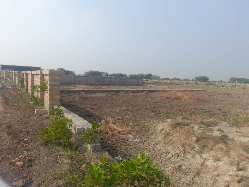  Residential Plot 2000 Sq.ft. for Sale in Dholera, Ahmedabad