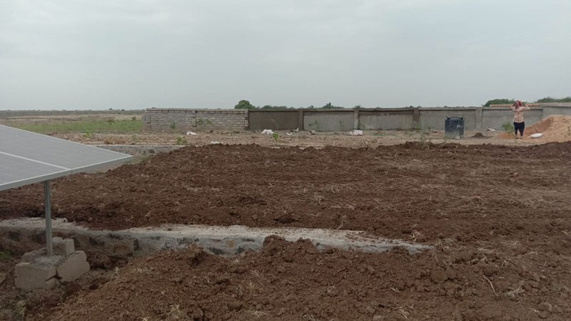  Residential Plot 1200 Sq.ft. for Sale in Dholera, Ahmedabad