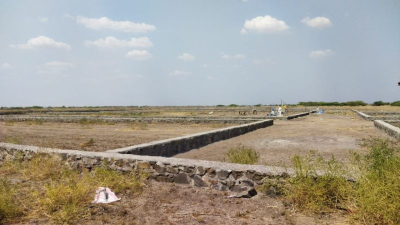  Residential Plot 2826 Sq.ft. for Sale in Dholera, Ahmedabad