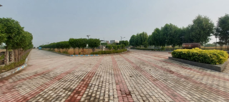  Residential Plot 700 Sq. Yards for Sale in Dholera, Ahmedabad