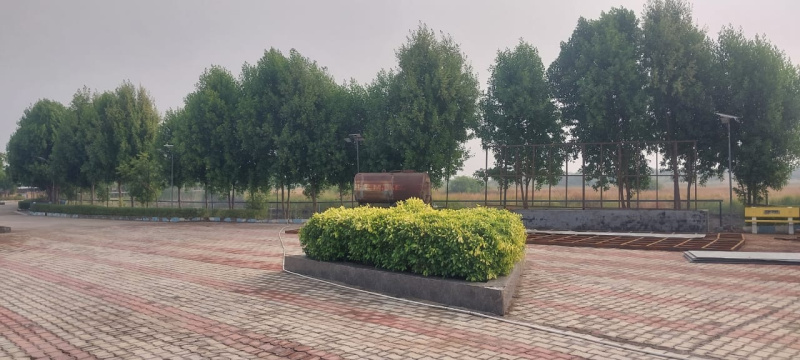  Residential Plot 700 Sq. Yards for Sale in Dholera, Ahmedabad