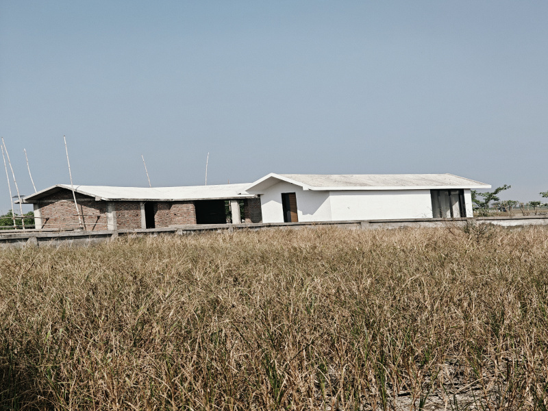  1000 Sq.ft. Residential Plot for Sale in Dholera, Ahmedabad