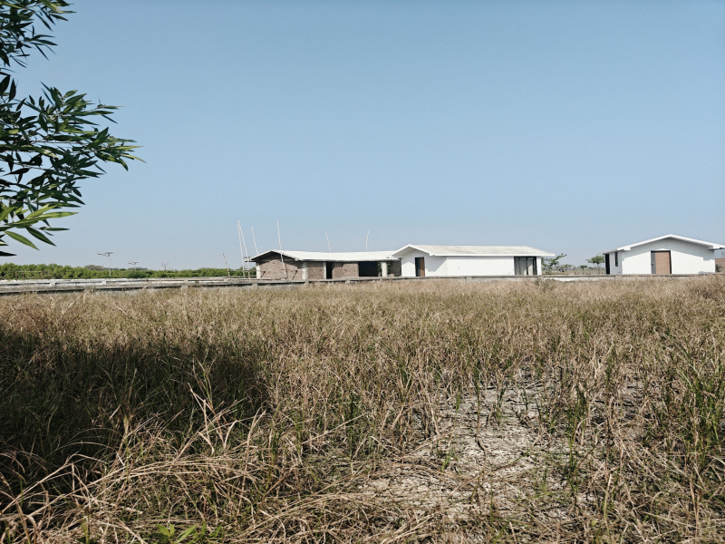  1000 Sq.ft. Residential Plot for Sale in Dholera, Ahmedabad