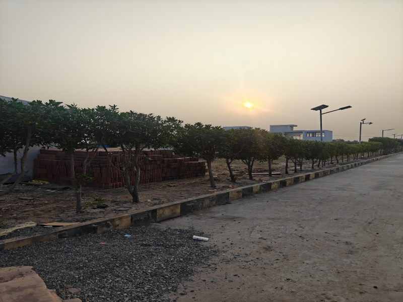 1500 Sq.ft. Residential Plot for Sale in Dholera, Ahmedabad