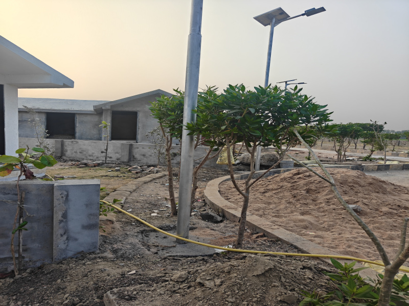  1500 Sq.ft. Residential Plot for Sale in Dholera, Ahmedabad