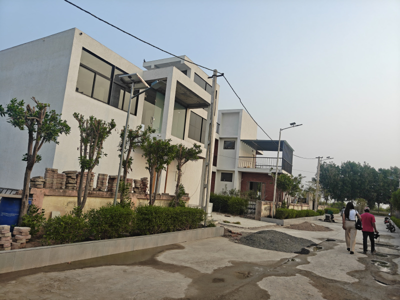  1000 Sq.ft. Residential Plot for Sale in Dholera, Ahmedabad