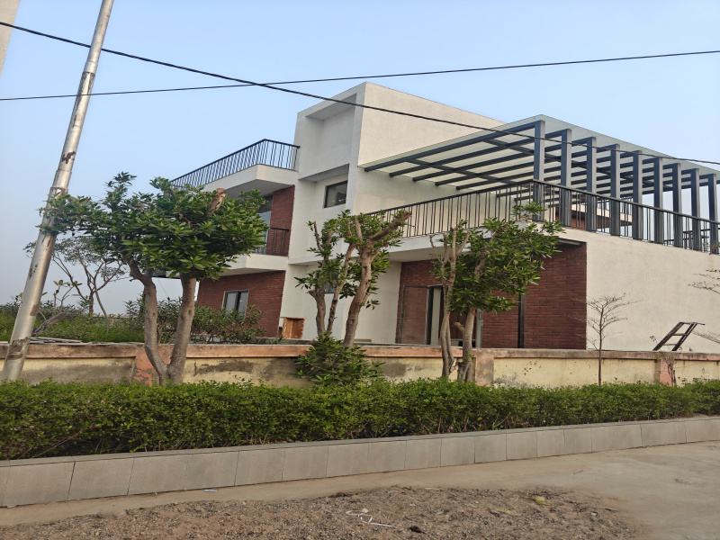  1100 Sq.ft. Residential Plot for Sale in Dholera, Ahmedabad