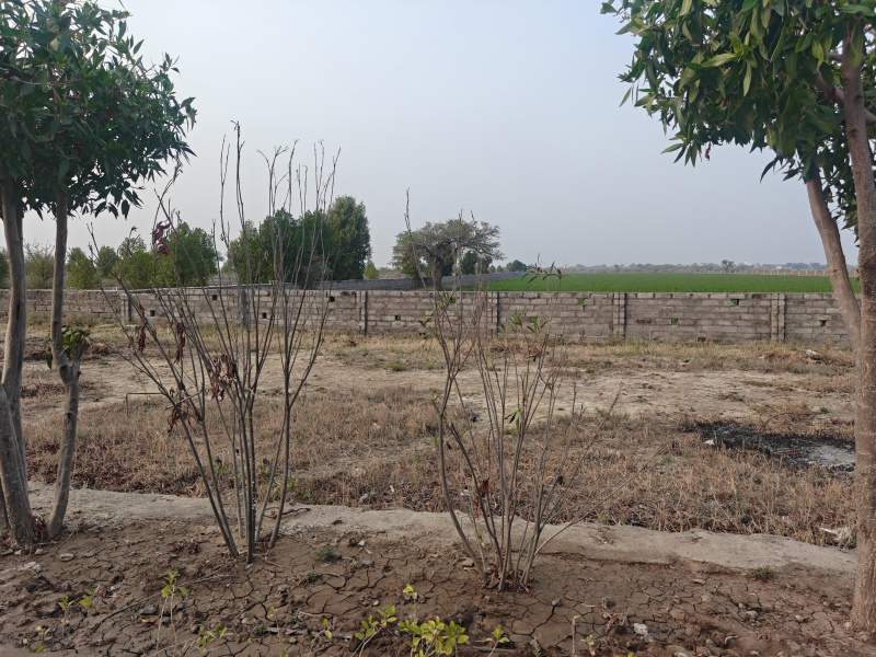  1000 Sq.ft. Residential Plot for Sale in Super Corridor, Indore