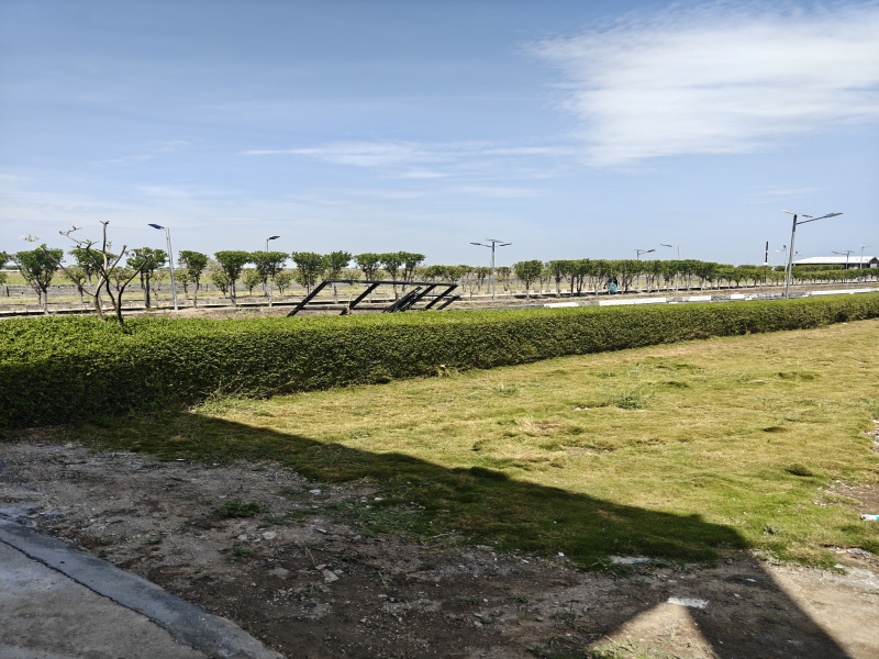  1240 Sq.ft. Residential Plot for Sale in Dholera, Ahmedabad