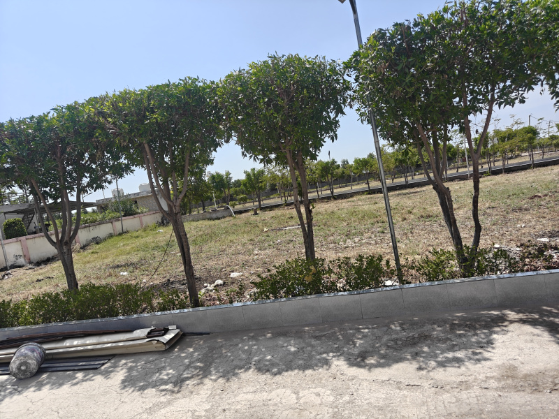 1240 Sq.ft. Residential Plot for Sale in Dholera, Ahmedabad