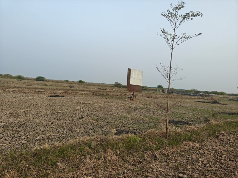  1800 Sq.ft. Residential Plot for Sale in Dholera, Ahmedabad