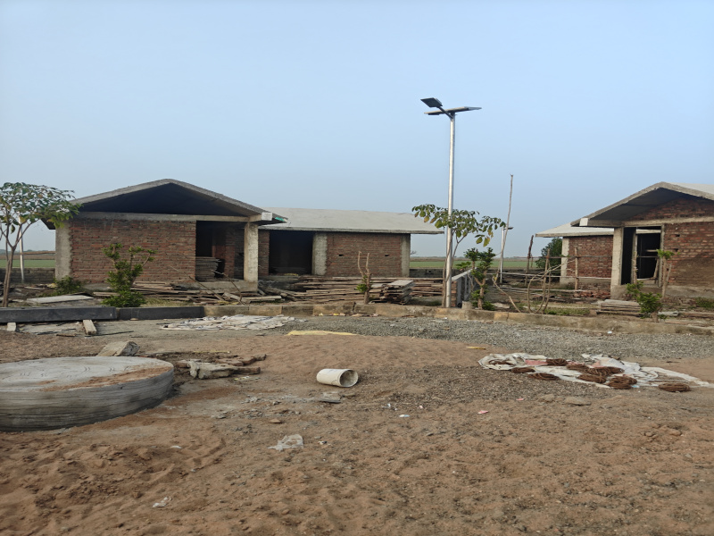  1800 Sq.ft. Residential Plot for Sale in Dholera, Ahmedabad